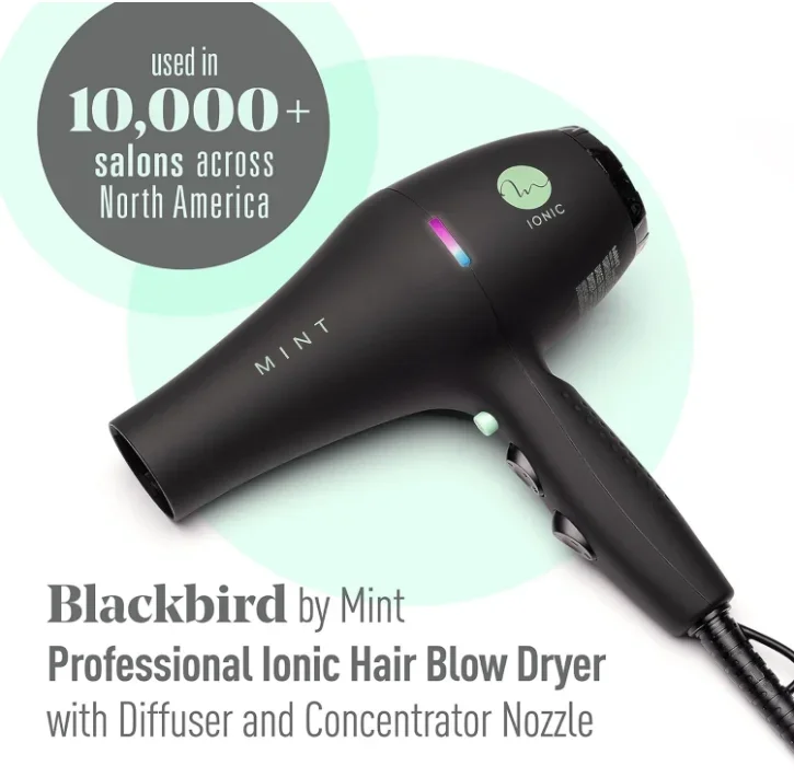 black-bird-ionic-dryer